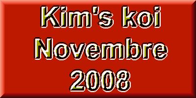 La rentr�e des koi de novembre chez Kim's Koi - L'offre compl�te  1 