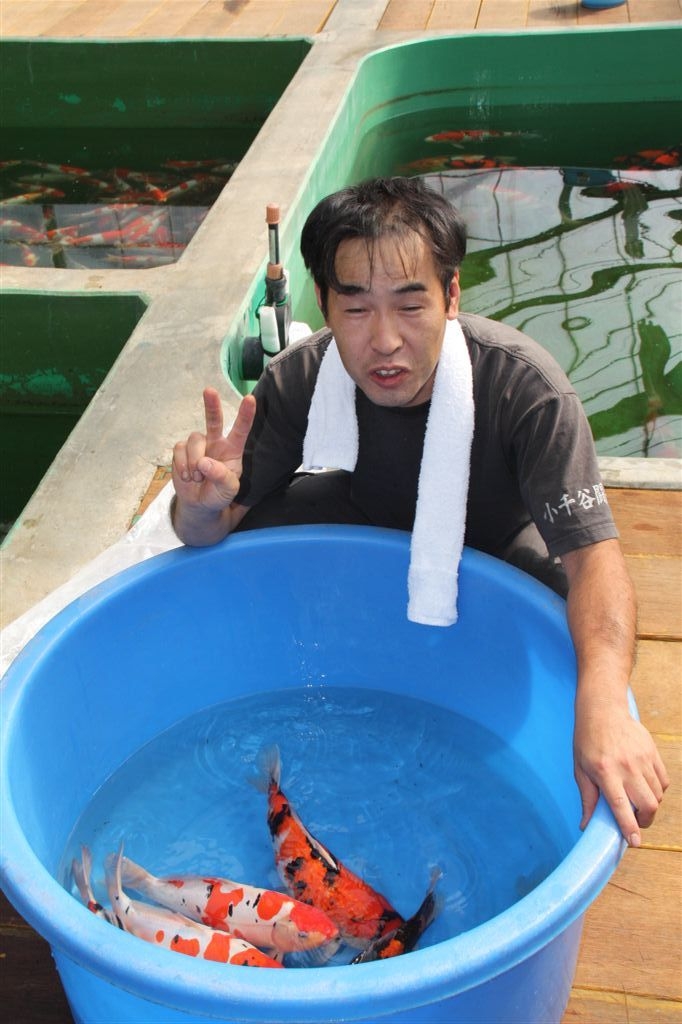 Ik�age KIM'S KOI octobre 2009 : Vendredi, le 16/10/2009  1 