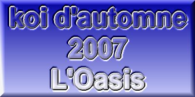 La rentr�e des koi de novembre � l'Oasis (2007) suite 2  1 