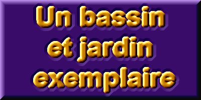 Un bassin et jardin exemplaire 2  1 