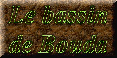 Les bassin de jardin de Bouda le bassin � truites  1 