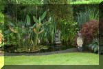 Le bassin de jardin de F�lix  11 