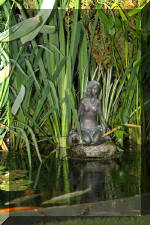 Le bassin de jardin de F�lix  6 