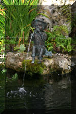 Le bassin de jardin de F�lix  3 