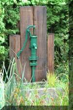 Le bassin de jardin de F�lix  33 