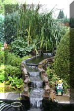 Le bassin de jardin de F�lix  20 