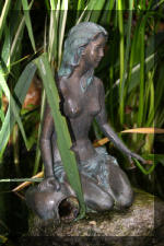 Le bassin de jardin de F�lix  21 