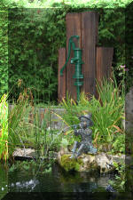 Le bassin de jardin de F�lix  30 