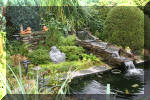 Le bassin de jardin de F�lix  26 