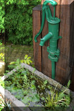 Le bassin de jardin de F�lix  50 