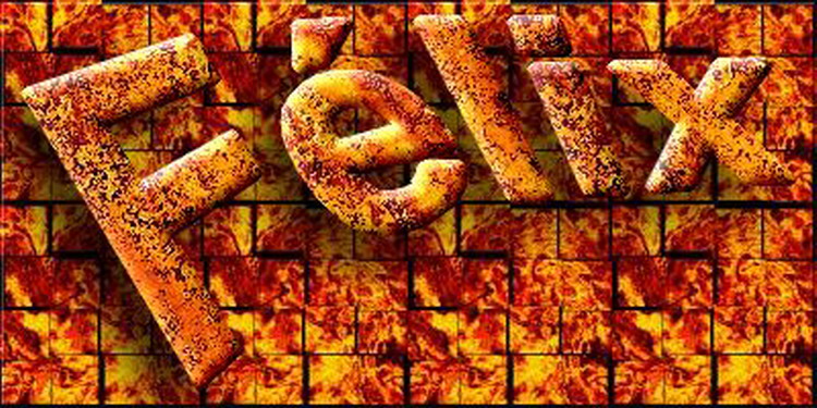 Le bassin de jardin de F�lix  1 