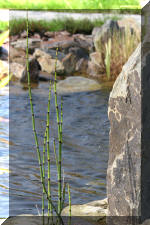 Une autre r�alisation de Fisette  29 