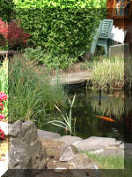 Le bassin de jardin d'Aquatechnobel de jour 2  25 