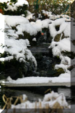 Le bassin de jardin d'Aquatechnobel l'hiver  6 
