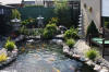 Le bassin de jardin mixte de Daniel (2007)&nbsp; premi�res   30 