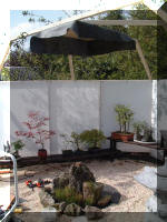 Pr�sentation de Bonsa� 3  10 