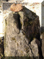 Pr�sentation de Bonsa� 6  3 