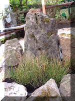 Pr�sentation de Bonsa� 6  12 