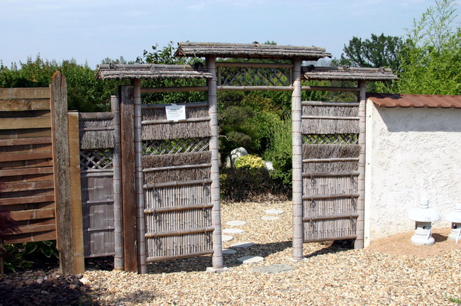 Maillot bonsail les arbres en d�mo  1 