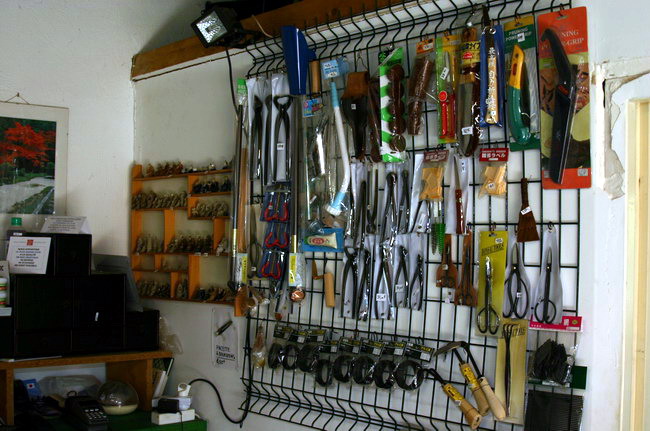 Maillot Bonsa� M  1 