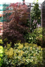  Maillot Bonsa� SERRE  21 