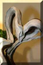 Noelanders 2005 et la splendeur des bonsa�  4 