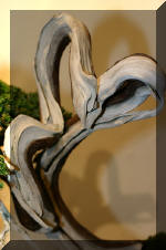 Noelanders 2005 et la splendeur des bonsa�  2 