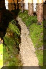 Noelanders 2005 et la splendeur des bonsa� 16  3 