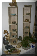 Noelanders 2005 et la splendeur des bonsa� 21  12 