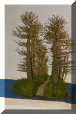 Noelanders 2005 et la splendeur des bonsa�   19 