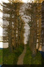 Noelanders 2005 et la splendeur des bonsa�   18 