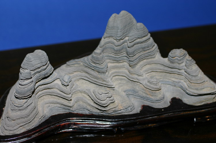 Noelanders 2005 et la splendeur des bonsa� 7  1 