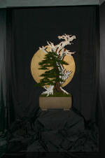 Noelanders 2005 et la splendeur des bonsa� 8  6 