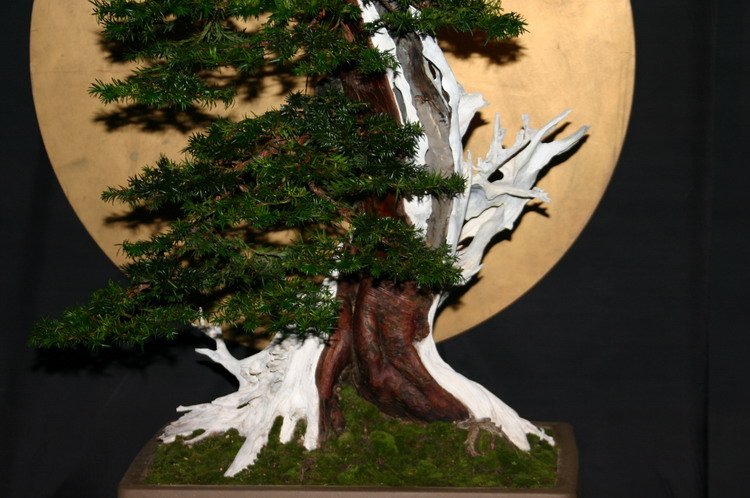 Noelanders 2005 et la splendeur des bonsa� 8  4 