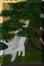 Noelanders 2005 et la splendeur des bonsa� 8  2 