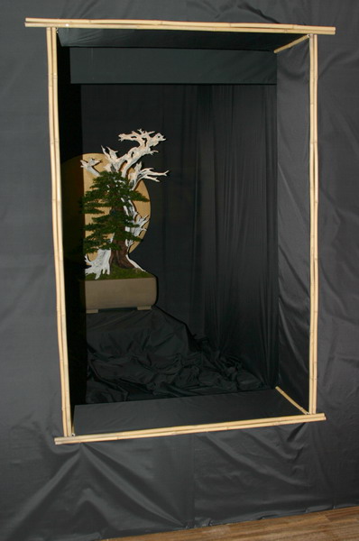 Noelanders 2005 et la splendeur des bonsa� 8  7 