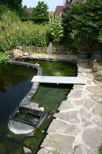 La cr�ation et construction d'une terrasse en bois - situation de d�part   11 