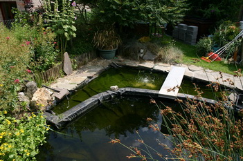 La cr�ation et construction d'une terrasse en bois - situation de d�part   7 