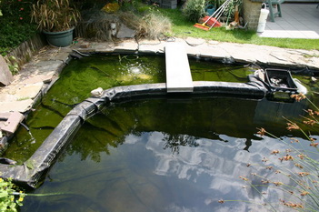 La cr�ation et construction d'une terrasse en bois - situation de d�part   6 