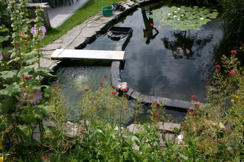 La cr�ation et construction d'une terrasse en bois - situation de d�part   10 