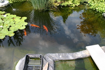 La cr�ation et construction d'une terrasse en bois - situation de d�part   4 