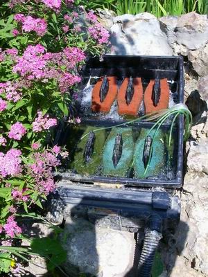 Raptor et Biotec la fusion 2  2 