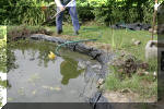 R�habiltation d'un bassin du Branois - vidage de la mare   2 