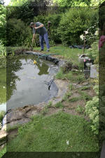 R�habiltation d'un bassin du Branois - vidage de la mare   6 
