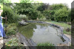 R�habiltation d'un bassin du Branois - vidage de la mare   3 