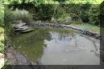 R�habiltation d'un bassin du Branois - vidage de la mare   5 