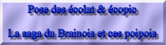 R�habiltation d'un bassin du Branois - Pose des Ecolat & Ecopic    1 