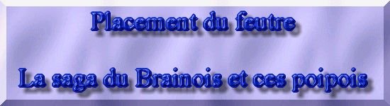 R�habiltation d'un bassin du Branois - Placement du feutre    1 