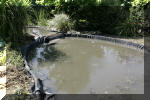 R�habiltation d'un bassin du Branois - finition du lagunage   6 