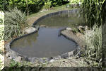 R�habiltation d'un bassin du Branois - finition du lagunage   7 